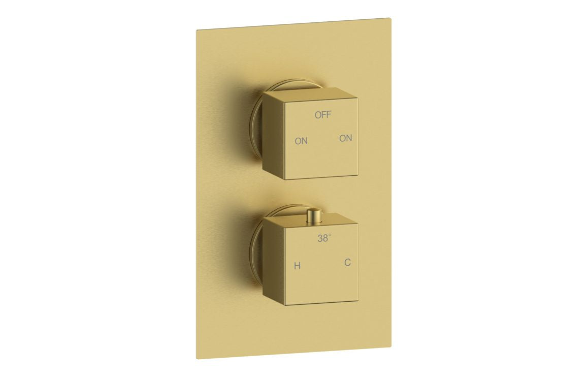 PURE Thermostatic Two Outlet Twin Shower Valve - Brushed Brass