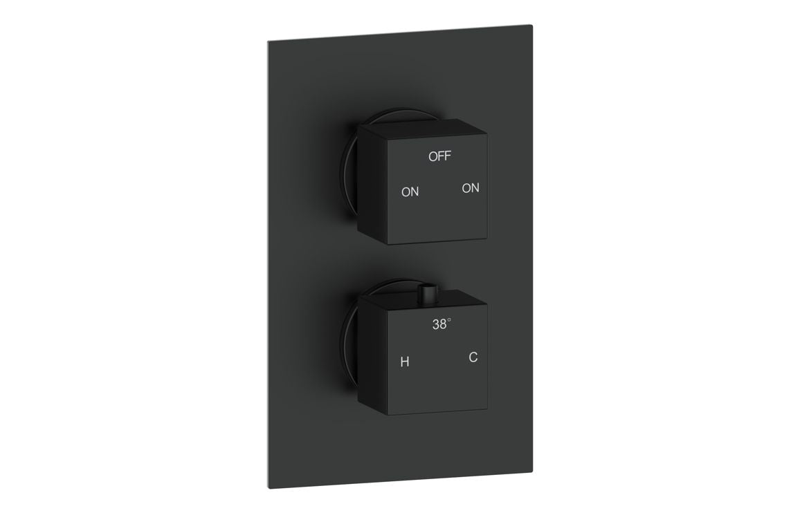 PURE Thermostatic Two Outlet Twin Shower Valve - Matt Black